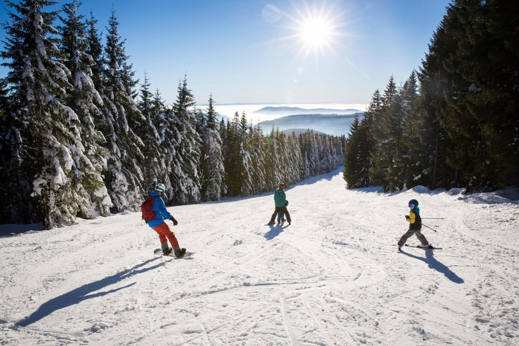 Drei Tannen - Wohnung 11 - Apartmenthaus, Titisee, Feldberg Екстериор снимка