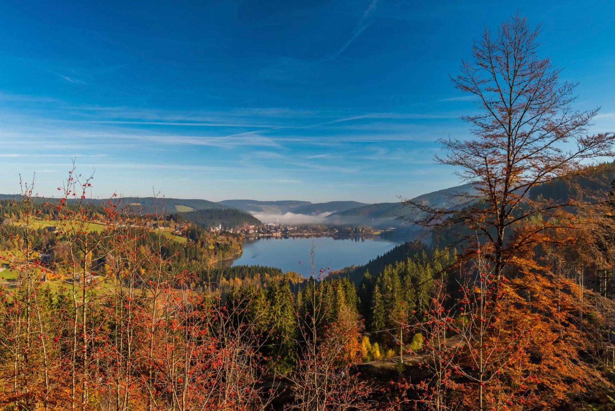 Drei Tannen - Wohnung 11 - Apartmenthaus, Titisee, Feldberg Екстериор снимка