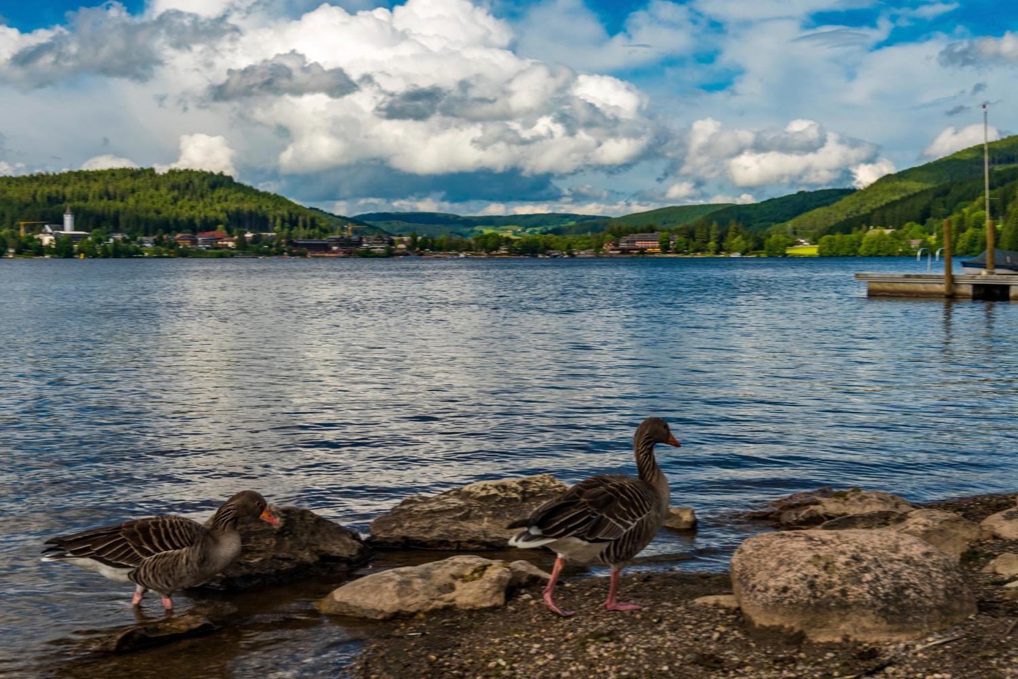 Drei Tannen - Wohnung 11 - Apartmenthaus, Titisee, Feldberg Екстериор снимка